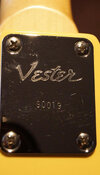 Vester-Catalina-Strat_09.jpg