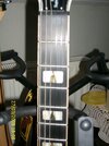 hagstrom_inlays.jpg