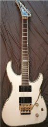 Peavey 1.jpg