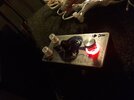 20171022_011039.jpg