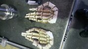 IMG-20161015-WA0017.jpeg IMG-20161015-WA0017.jpeg