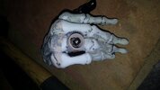 IMG-20161203-WA0009.jpeg IMG-20161203-WA0009.jpeg