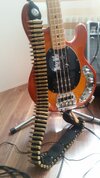 patrone stingray 1.jpg