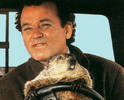 bill-murray-in-groundhog-day.png