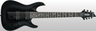 schecter 7.JPG