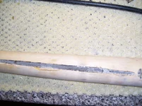 100_3499.webp