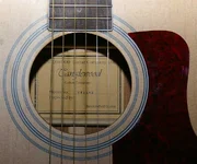 XIMGP9822.webp