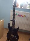 100_0771.jpg