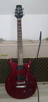 Hamer-Special.JPG