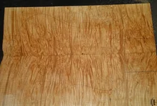 Wild_Maple_4_detail.webp