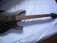 DSCN3508.webp