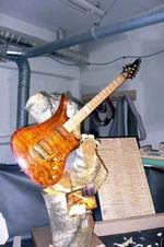 Wild Thing (10th Anniv)_1.webp