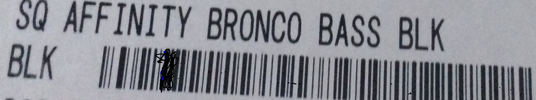 broncobro.PNG