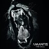 Amantis_TheCall_Cover_2000x2000_Typo.jpg