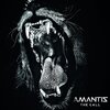 Amantis_TheCall_Cover_2000x2000_Typo.jpg Amantis_TheCall_Cover_2000x2000_Typo.jpg