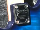 backplate_ibanez.jpg