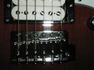 Humbucker2.jpg