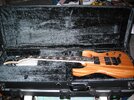 Caparison 001.jpg