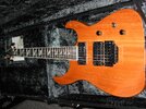 Caparison 002.jpg