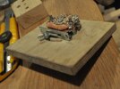 DSC_8053.JPG