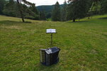 im Schwarzwald.jpg im Schwarzwald.jpg