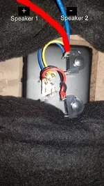 20190313_171446edit.webp