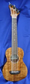 ukuleleBIGall.webp
