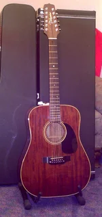 Takamine F386 12-saitig mit PU.webp