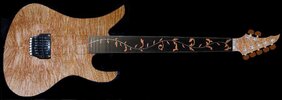 Siggi Braun_NATURAL,Inlay,Cutaway_v10.jpg