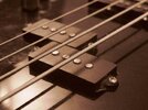 Bass0003.jpg