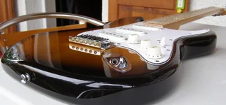 P9020325.webp