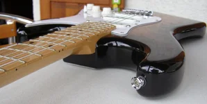 P9020328.webp