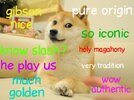 Doge 19072019170629.jpg