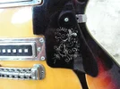 Teisco VibraTwin - Ultra Deluxe 1969 detail 01.jpg