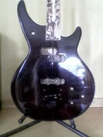 daion3.webp