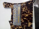 Pickguard mit Teisco Goldfoil.jpg