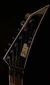 Headstock_172206.jpg