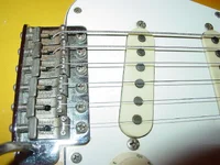 DSC05129.webp