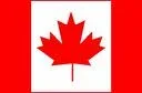 maple leaf.webp