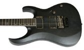 Cort Gitarre.jpg