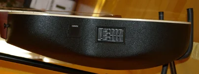IMGP3417.webp