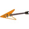 REverse Flying V.jpg