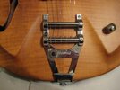 Tennessee-Pro Tremolo.jpg