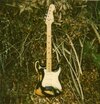 img041.jpg