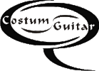 Logo-pico.gif
