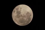 Full Moon by Diz.jpg Full Moon by Diz.jpg