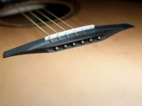 P1000007.webp