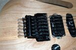 Tremolo.JPG