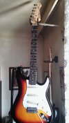 HarleyBenton_Stratocaster_20.jpg