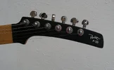 Parker P-30 2007 head.jpg